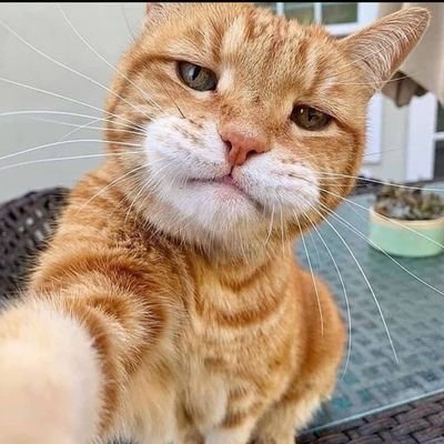 Profile Picture of Pesso🌹 (@Kingpesso) on Twitter