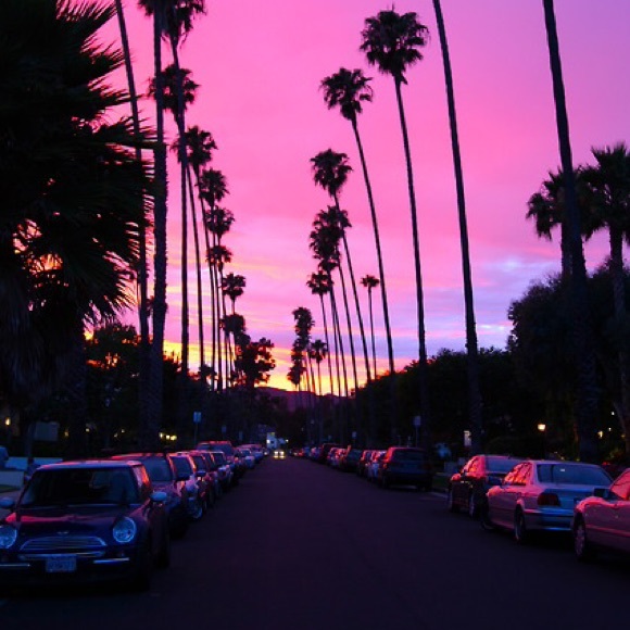 Profile Picture of Izzy Tolfa (@izzyt77) on Poshmark