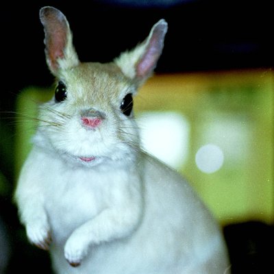 Profile Picture of David Ruffles (@Daveruffles) on Twitter