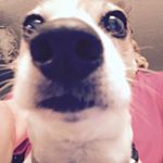 Profile Picture of Gary Hoyt (@gary294296) on Instagram