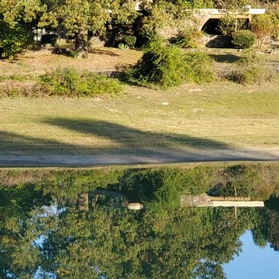 Profile Picture of Brian Temples (@BrianTemples) on Twitter
