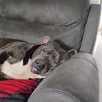 Profile Picture of Cliff Chadwick (@Cliff-Chadwick) on Facebook