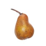 Profile Picture of Felicitas Binder (@felicitasbinder.botanicalart) on Instagram