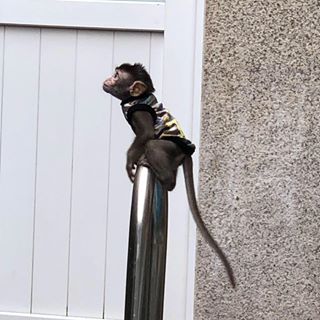 Profile Picture of Danny Tran (@Danny-Tran) on Facebook