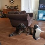 Profile Picture of Adam kobel (@ktruth1990) on Instagram