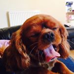 Profile Picture of Frederick Charles Monkeybum (@a_ginger_fred) on Instagram