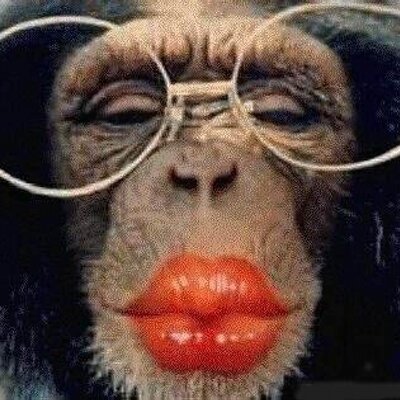 Profile Picture of David Hofman (@Rasorwind) on Twitter