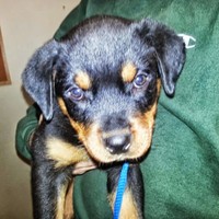 Profile Picture of Alice Rogers (@alice-rogers-48) on Quora