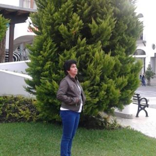 Profile Picture of Lola Llamas (@lola.llamas.98) on Facebook