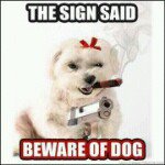 Profile Picture of Javier Pastrana (@jpastrana86) on Instagram