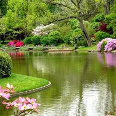 Profile Picture of Eman Abdalla Mustafa (@emanabdallah24) on Twitter