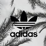 Profile Picture of Xl (@douglas.ding.11) on Instagram