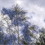 Profile Picture of MINKLER (@minklerbradlynw3) on Instagram