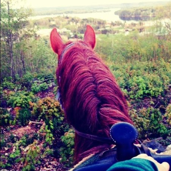 Profile Picture of Kelsey Beard (@kelb1993) on Poshmark