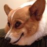 Profile Picture of Nathan Pitman (@randomcontributor) on Pinterest