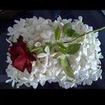 Profile Picture of Michael Fayad (@michael.fayad.35) on Instagram