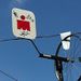 Profile Picture of Bill Michl (@billmichl) on Pinterest