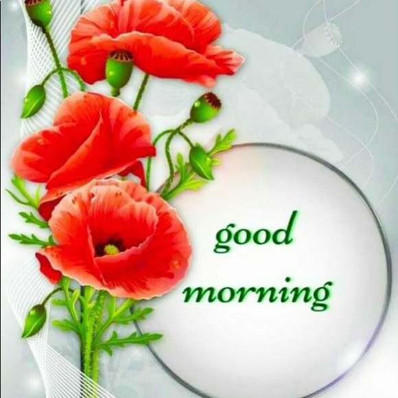 Profile Picture of Raynu Mehmi (@raynumehmi) on Poshmark