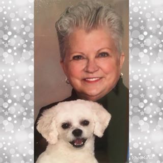 Jan Sterner Mitchell (Janni) - Facebook Profile Picture of Jan Sterner Mitchell (Janni) (@Jan-Sterner-Mitchell) on Facebook