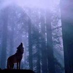 Profile Picture of Earl McClain (@mack1054177) on Instagram