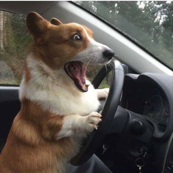 Profile Picture of Bridget Quibell (@beecue) on Poshmark