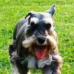 Profile Picture of Eric Tsao (@eric.tsao) on Instagram