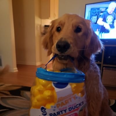 Profile Picture of Kim Kish (@KimKish6) on Twitter