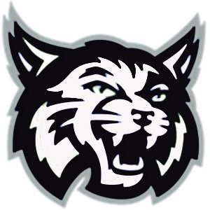 Profile Picture of Steven Walton (@WaltonManorISD) on Twitter