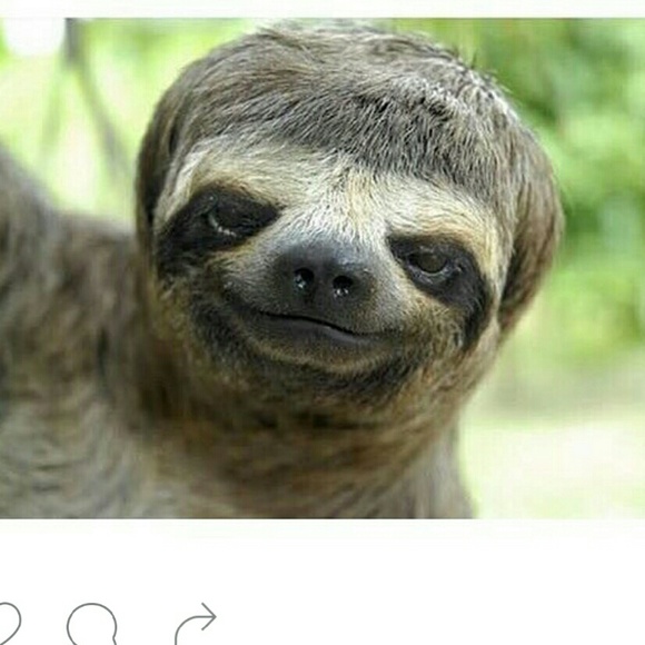 Profile Picture of Felipe Andrade (@felipeaa95) on Poshmark