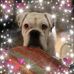 Profile Picture of Paula Painter (@paula.painter.9) on Facebook