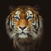 Profile Picture of Elena Daskou (@elena-daskou) on Quora
