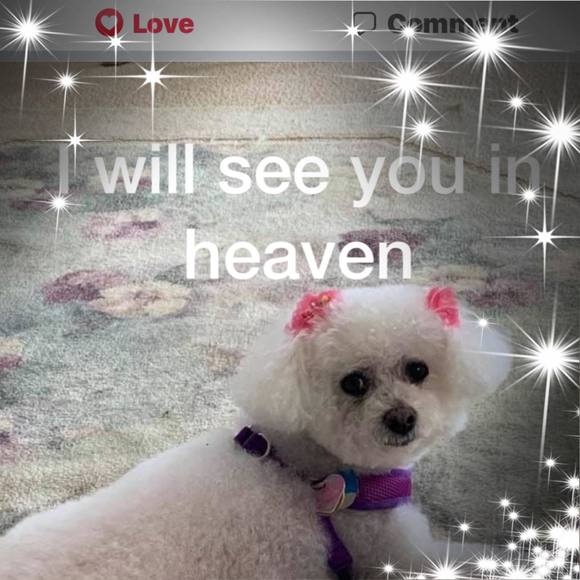 Profile Picture of Louise Ramhoff (@louern65) on Poshmark