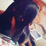 Profile Picture of Lucy Frausto🐶😍👍 (@lucy._.loo45) on Instagram