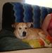 Profile Picture of Robin Cadle (@Robin-Cadle) on Facebook