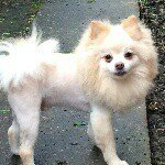 Profile Picture of Crystal Gomez-Winter (@gomezcw22) on Instagram