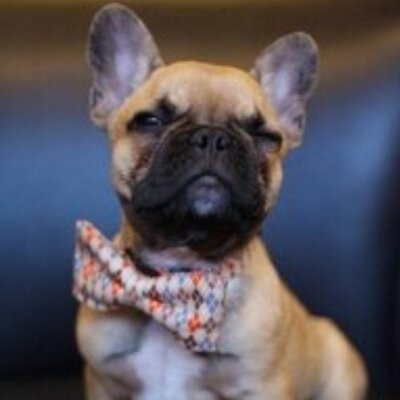 Profile Picture of Randy Turner (@randytjr) on Twitter