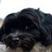 Profile Picture of Steve Emmerling (@steve.emmerling.7) on Facebook