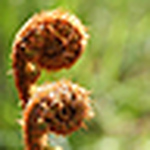 Profile Picture of Graham Edgecombe (@graham edgecombe) on Flickr