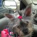 Profile Picture of Patty Granger Hanson (@pattyprissalot) on Pinterest