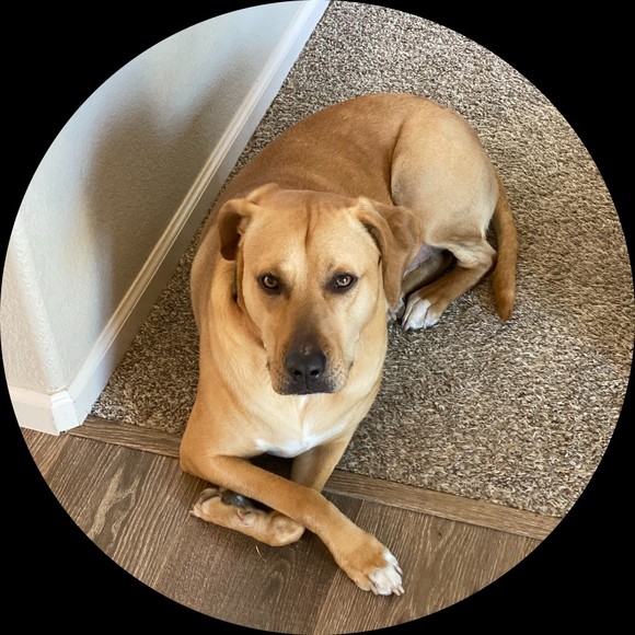 Profile Picture of Tara Humann (@tdel911) on Poshmark