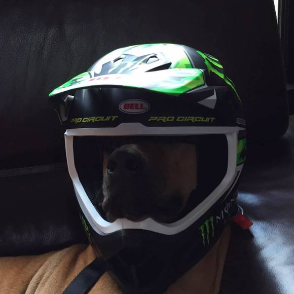 Tanner Chapman - Poshmark Profile Picture of Tanner Chapman (@tanner_chapman) on Poshmark