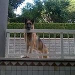 Profile Picture of Franco Tutone (@francotutone) on Instagram