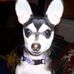 Profile Picture of Dan Corriveau (@dan.corriveau.79) on Facebook