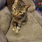 Profile Picture of Mark Dunckel (@Mark-Dunckel) on Facebook