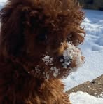 Profile Picture of Paula Battaglino (@paula.battaglinopaolella) on Facebook