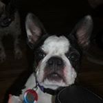 Profile Picture of Jan Howard (@jan.howard693) on Instagram
