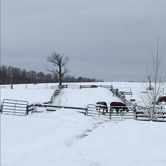 Profile Picture of C Gadbaw (@crgadb) on Poshmark