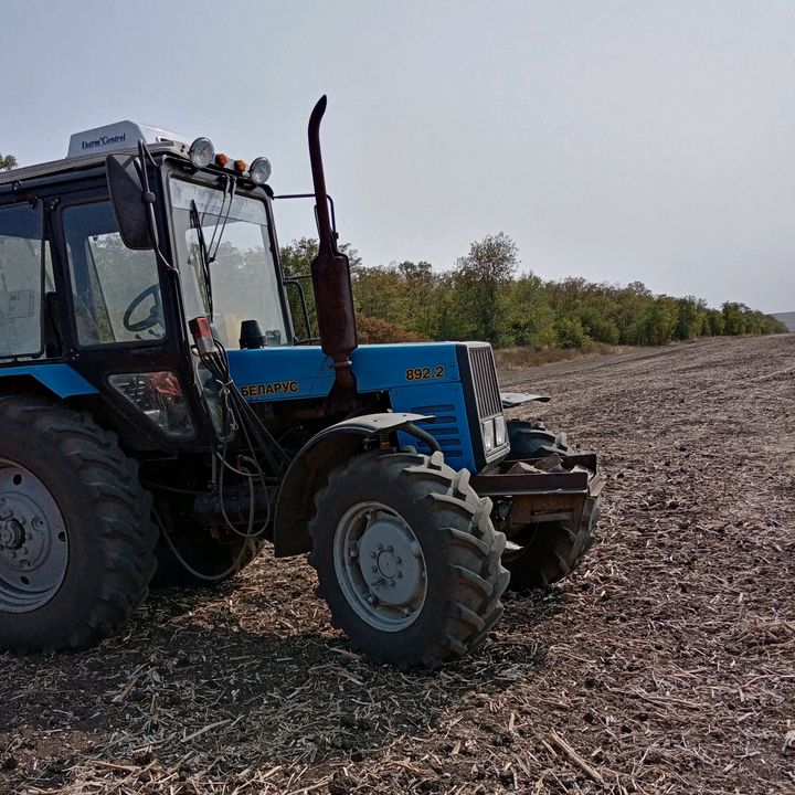 Profile Picture of Константин Парамонов (@constantineparamov) on Tiktok