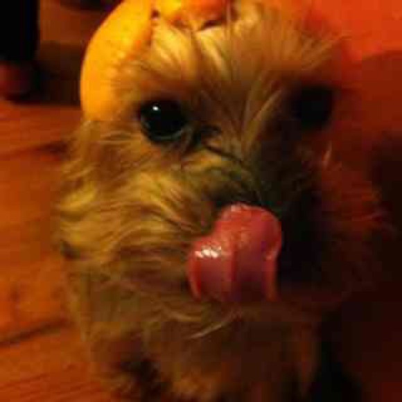 Profile Picture of Wei Wei (@calamus) on Poshmark