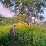 Profile Picture of Steven Thomas Juenemann (@northwindpaint) on Instagram